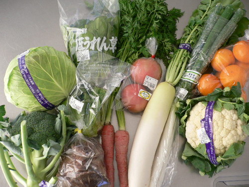 verdure freschissime.JPG